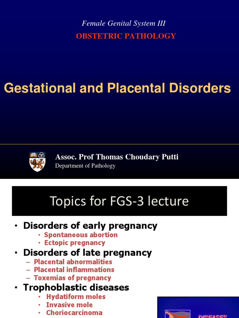 Gestational and Placental Disorders: Obstetric Pathology | PDF | Uterus ...