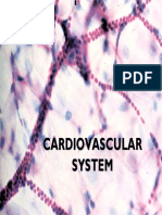 Cardiovascular System