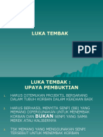 Luka Tembak