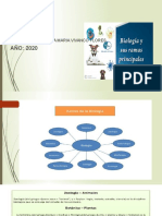 Biologia y Sus Ramas