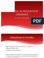 06_proba_de_travaliu