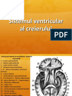 Sistemul Ventricular Al Creierului