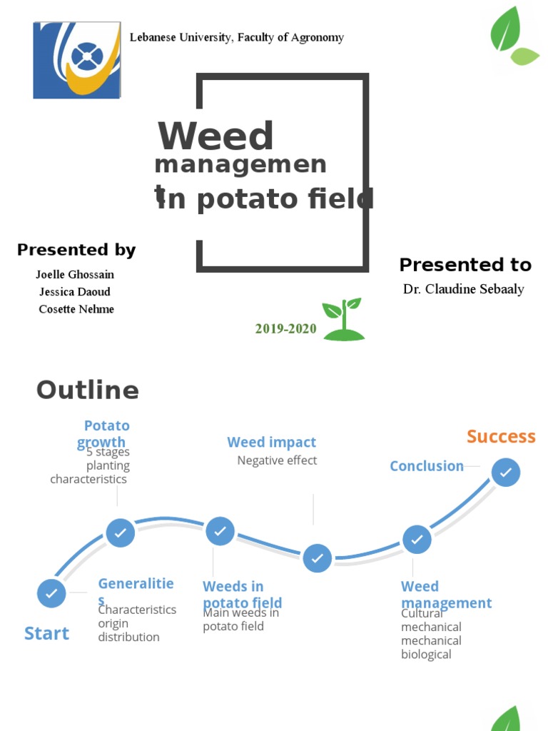 Integrated Weed Management in Potatoes | PDF | Herbicide | Crop Rotation