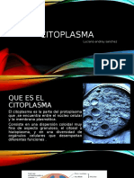 citoplasma.pptx