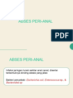 Abses Perianal