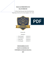 Makalah Mikrobiologi - Blastomikosis