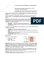5.Зъби видове съзъбия. Части и строеж на зъба. Пародонт строеж и функции.
