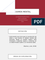 Examen Mental