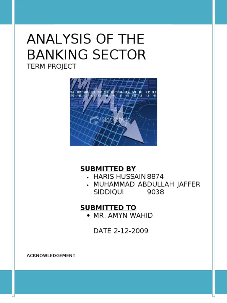 Analysis of The Banking Sector PDF Errors And Residuals Capital