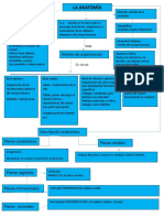 tarea anatomia