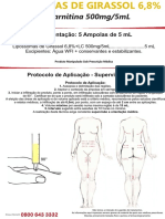Protocolo - Lipossomas PDF