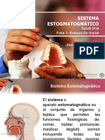 Sistema Estomatognatico