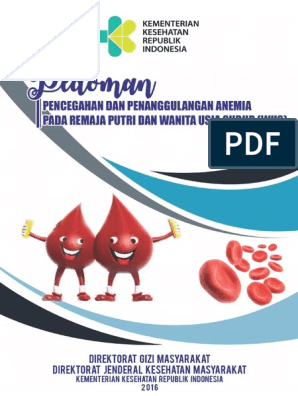 Pencegahan anemia