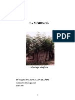 Moringa Oleifera - Hippocratus