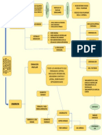 Mapa Conceptual Estructura Del Corazon