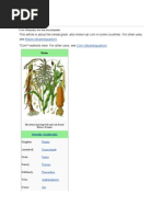 Download Maize by Pavan Kundur SN46019907 doc pdf