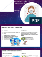 analisis de los componentes basicos de un programa de consultoria