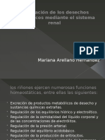 Eliminación de Los Desechos Metabólicos Mediante El Sistema