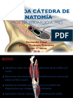 Rodilla Aplicacion Clinica PDF