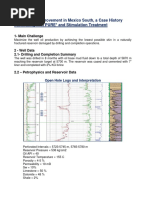 PURE-STIM-WELL_5037334_SPAN Nodal PIPESIM