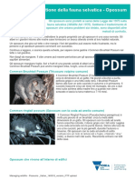 Italian - 86266 p1 Translations Managing Wildlife Possums