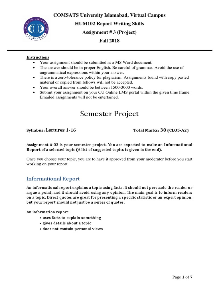 HUM102 Informational Report Guidelines | PDF | Computing And ...
