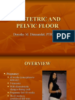 Obstetric and Pelvic Floor