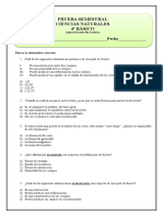 Prueba semestral de Ciencias Naturales 4° Básico