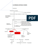 ESQUEMA JUICIO ORDINARIO