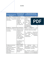 MATRIZ.docx