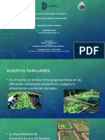 Exposición Agroecología - Agustin - Huertos Familiares
