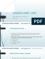 Anabolisme Lipid - Desy Muwaffaqoh - 007 - Bio