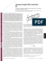 PNAS Cover Paper 2004 10979.full