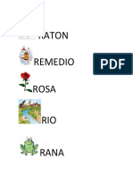 Raton Remedio Rosa RIO
