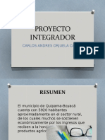 PROYECTO INTEGRADOR.pptx