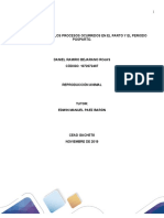 Paso 4 - Reconocer Los Procesos Ocurridos en El Parto y El Periodo Posparto.