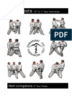 Vital Spots 10 - Taranaki ITF Taekwondo PDF