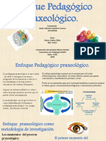 Enfoque Praxeologico.