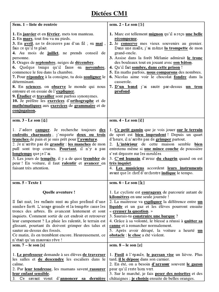 Je Réussis Mes Dictées Au Cm1 Pdf