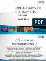 Microorganismos en Los Alimentos