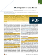 Review: RAS Proteins and Their Regulators in Human Disease