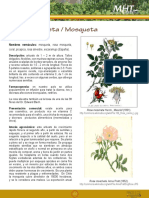 Rosita Mosqueta PDF