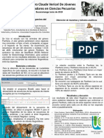 Analisis Filogenetico Del Genero Panthera1
