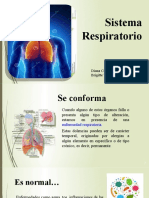 anatomia sistema respiratorio