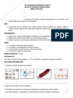 Guia Nâ°2 - 5â° - Ciencias Naturales