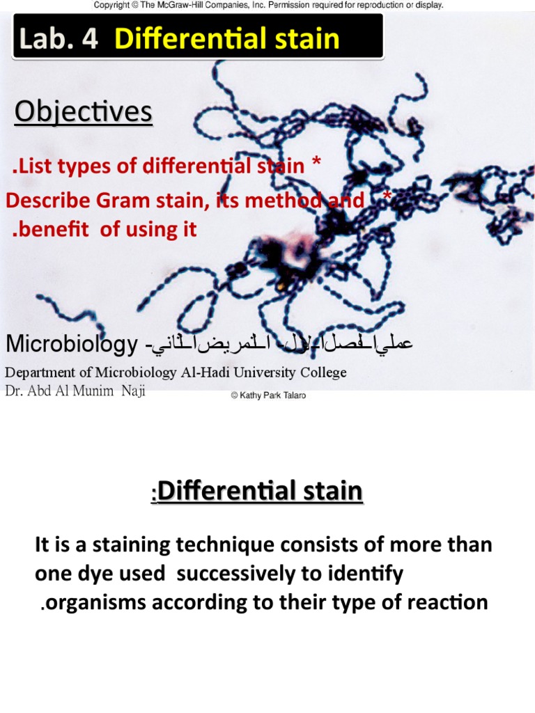 Microbiology Staining Techniques | PDF | Staining | Histopathology