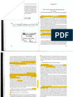 S. BLEICHMAR La Subjetividad en Riesgo. Cap. XV Sostener Los Paradigmas..