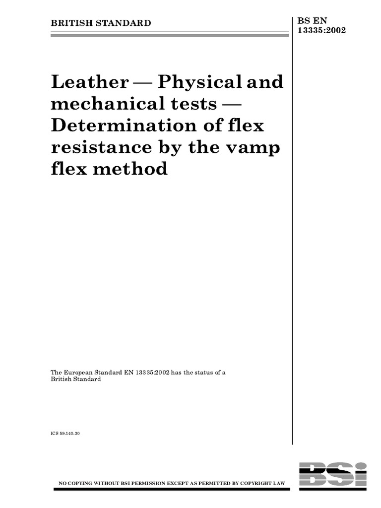 BS en 133352002 PDF PDF Copyright Regulation