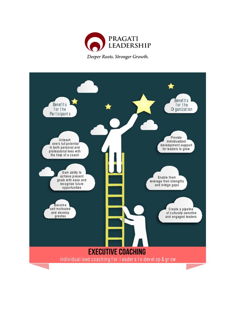 Executive Coaching Brochure Pdf Pdf Return On Investment
