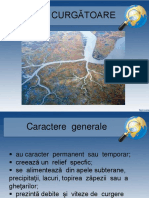 Apele Curgatoare PDF